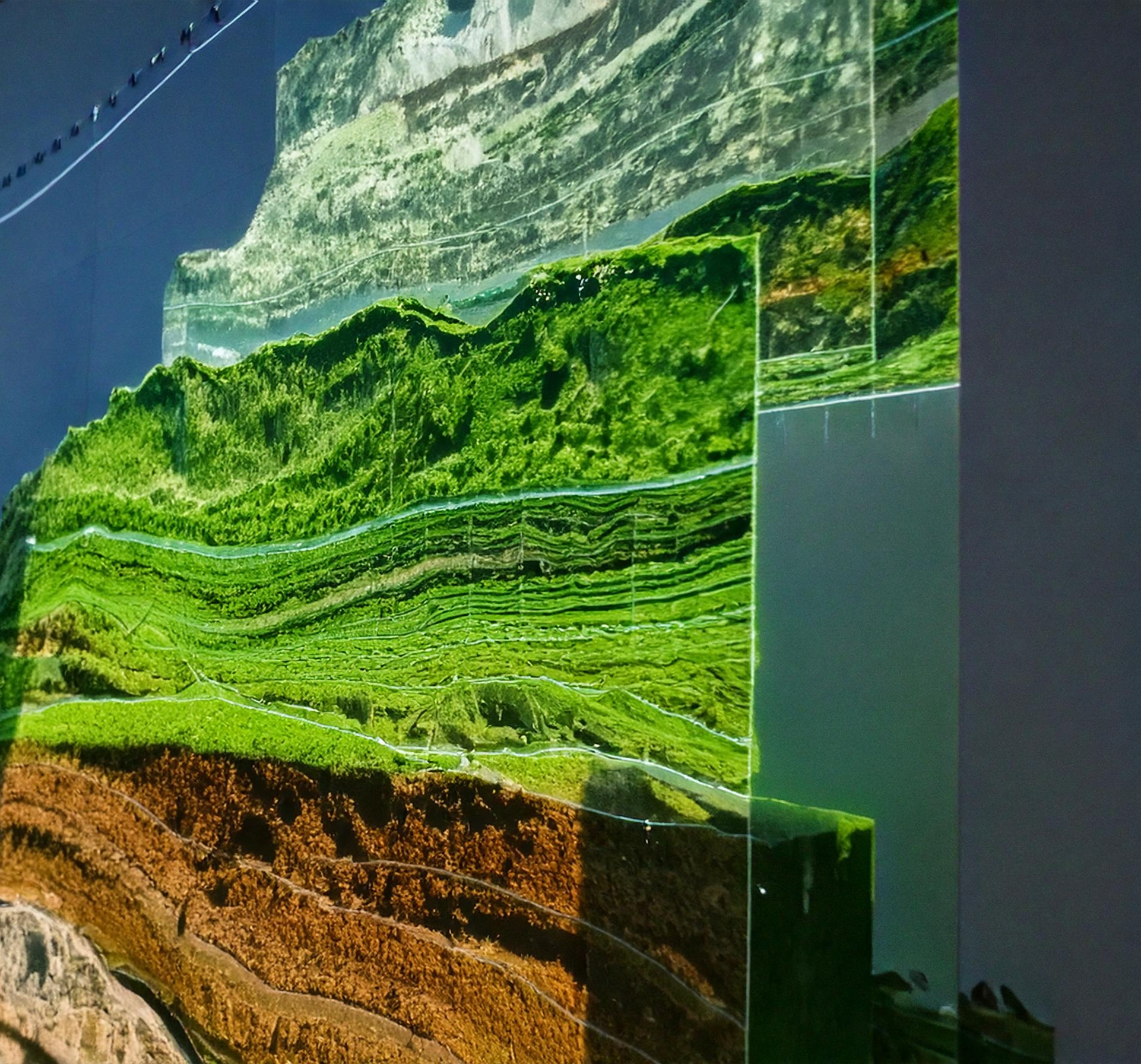Topography